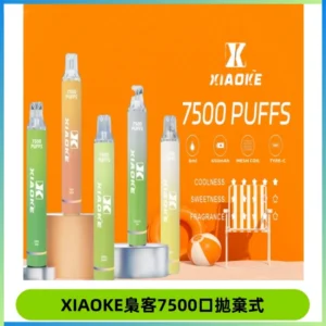 XIAOKE梟客7500Puffs跑馬燈拋棄式電子煙 可發光一次性